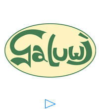 Galuwi - Gallmetzer Holding
